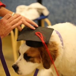 photograph by PeterW